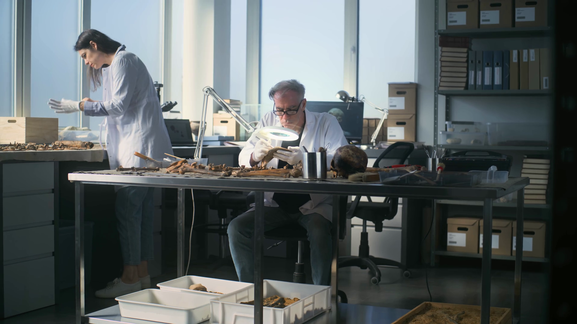 Senior Archaeologist Examines Bones Remains Stock Footage SBV-349208112 ...