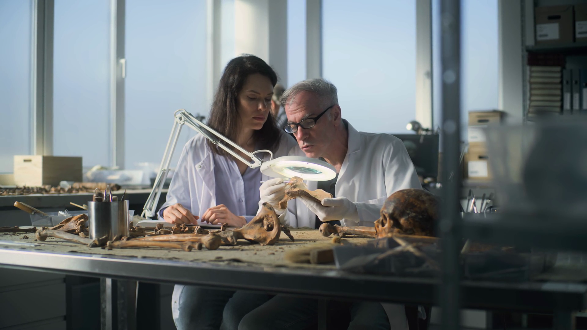 Archaeological Laboratory: Senior Stock Footage SBV-349206585 - Storyblocks