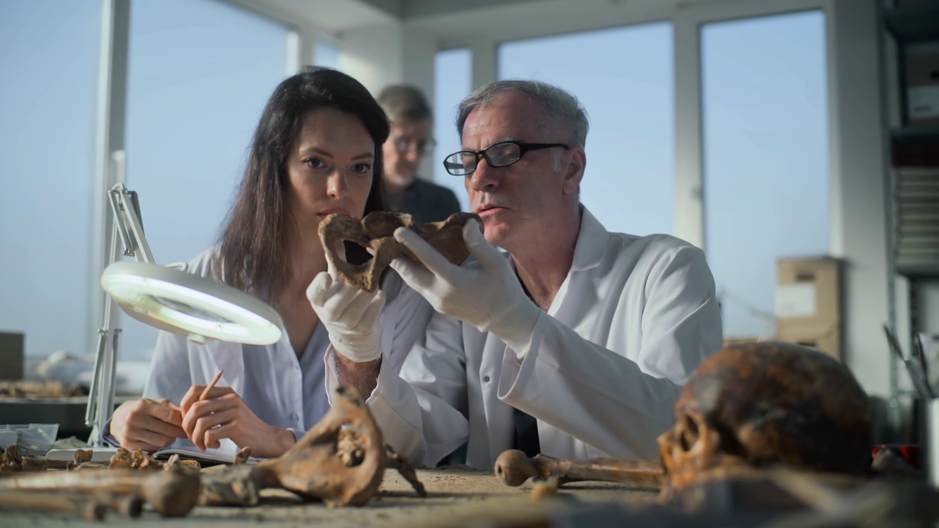 Archaeological Laboratory: Senior Stock Footage SBV-349210549 - Storyblocks