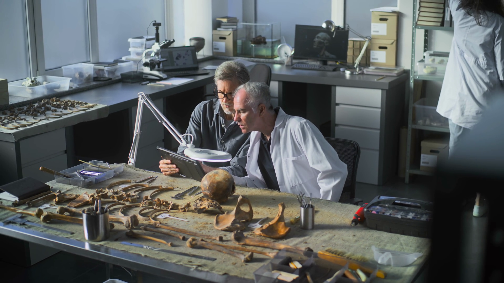 Archaeological Lab: Mature Archaeologist Stock Footage SBV-349211321 ...