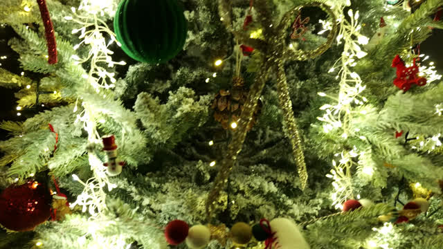 Mini Tree Stock Footage: Royalty-Free Video Clips - Storyblocks