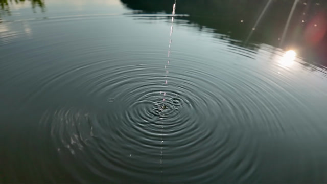 Water Ripple Effect Stock Footage: Royalty-Free Video Clips - Storyblocks