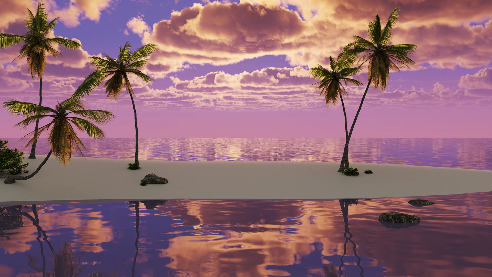Tropical Beach With Palm Trees At Sunset Stock Motion Graphics SBV ...