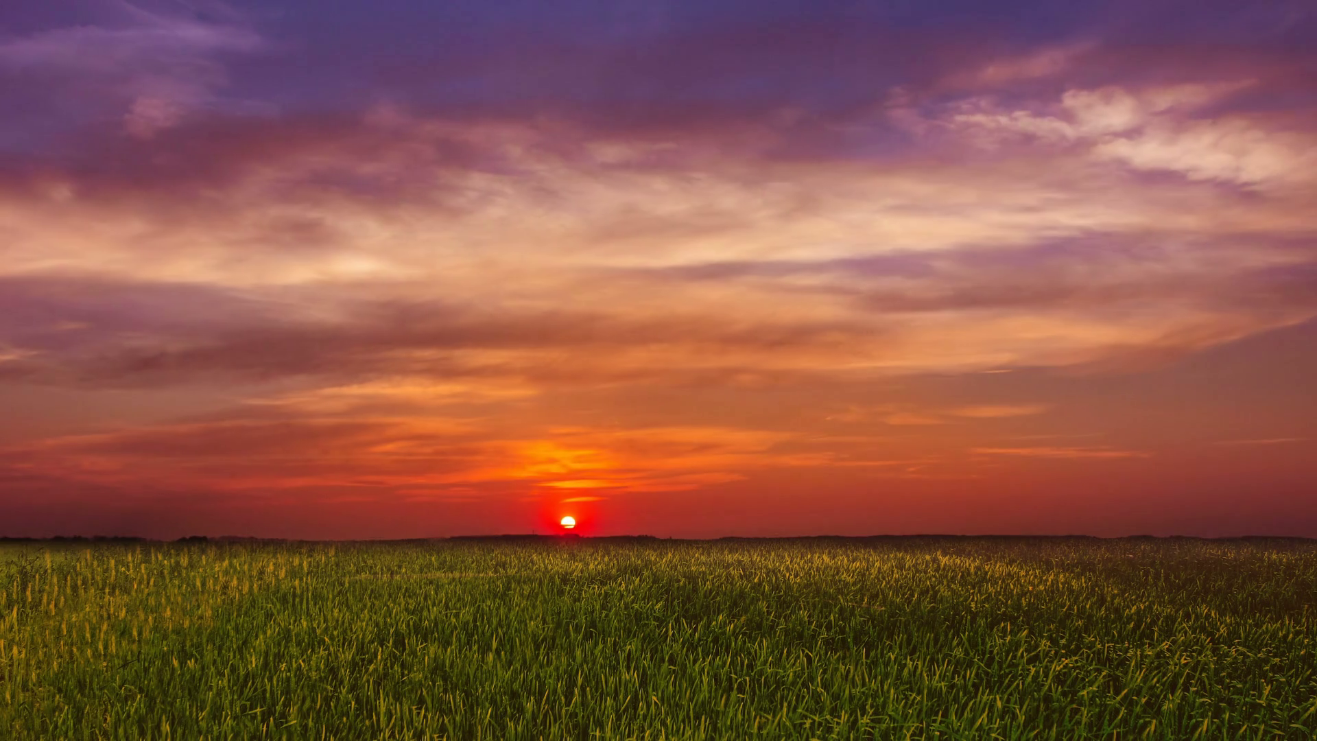 A Stunning Sunrise Over Green Field - Time Stock Footage SBV-334289937 ...