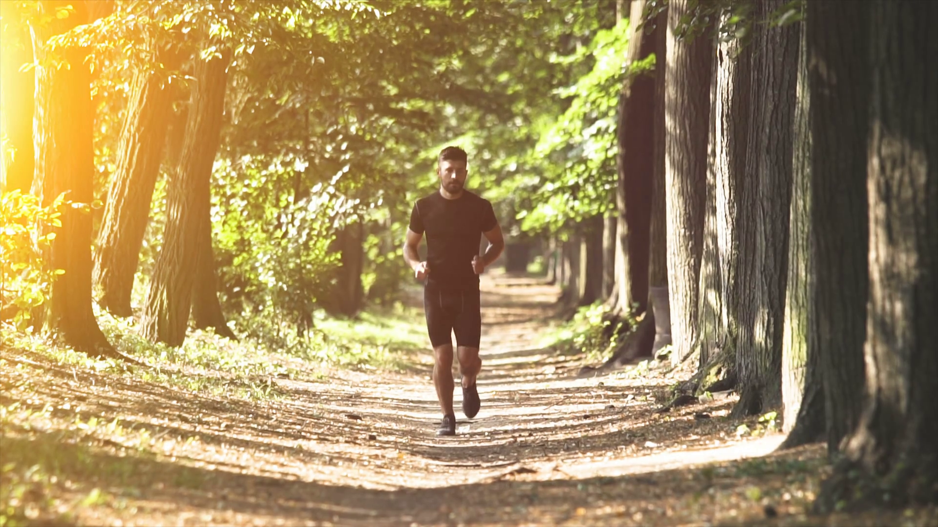 The Man Running In Park On Sunset Background Stock Footage SBV ...