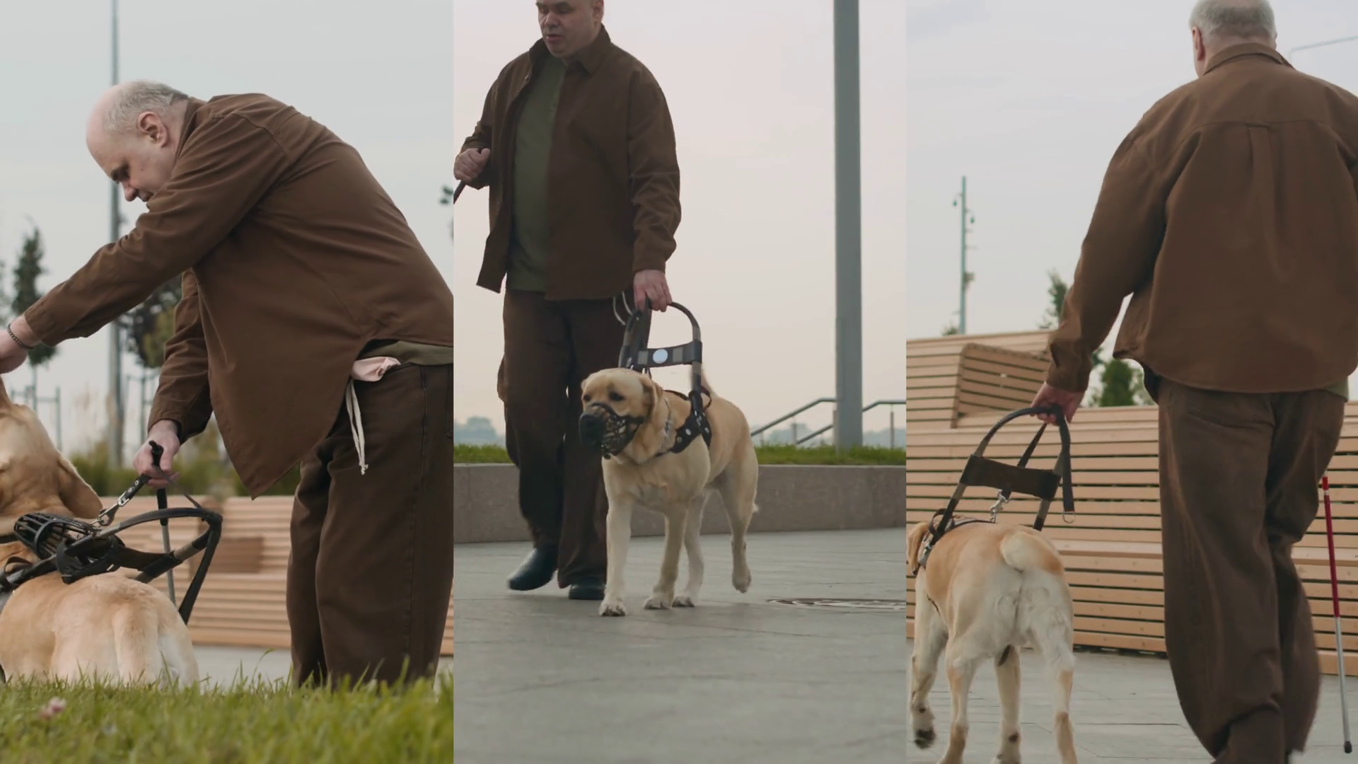 Split Screen Of Visually Impaired Elderly Stock Footage SBV-351685357 ...
