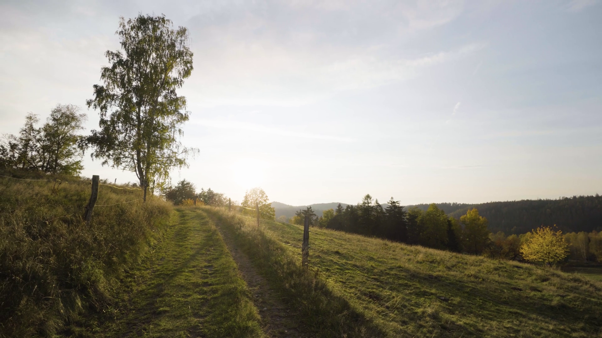 A Grass-covered Path Cuts Between Green Stock Footage SBV-347774574 ...