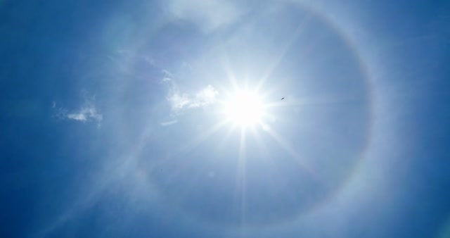 Sunlight Stock Footage: Royalty-Free Video Clips - Storyblocks