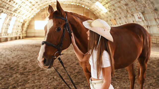 Bikini Horse Riding Woman Stock Footage: Royalty-Free Video Clips ...