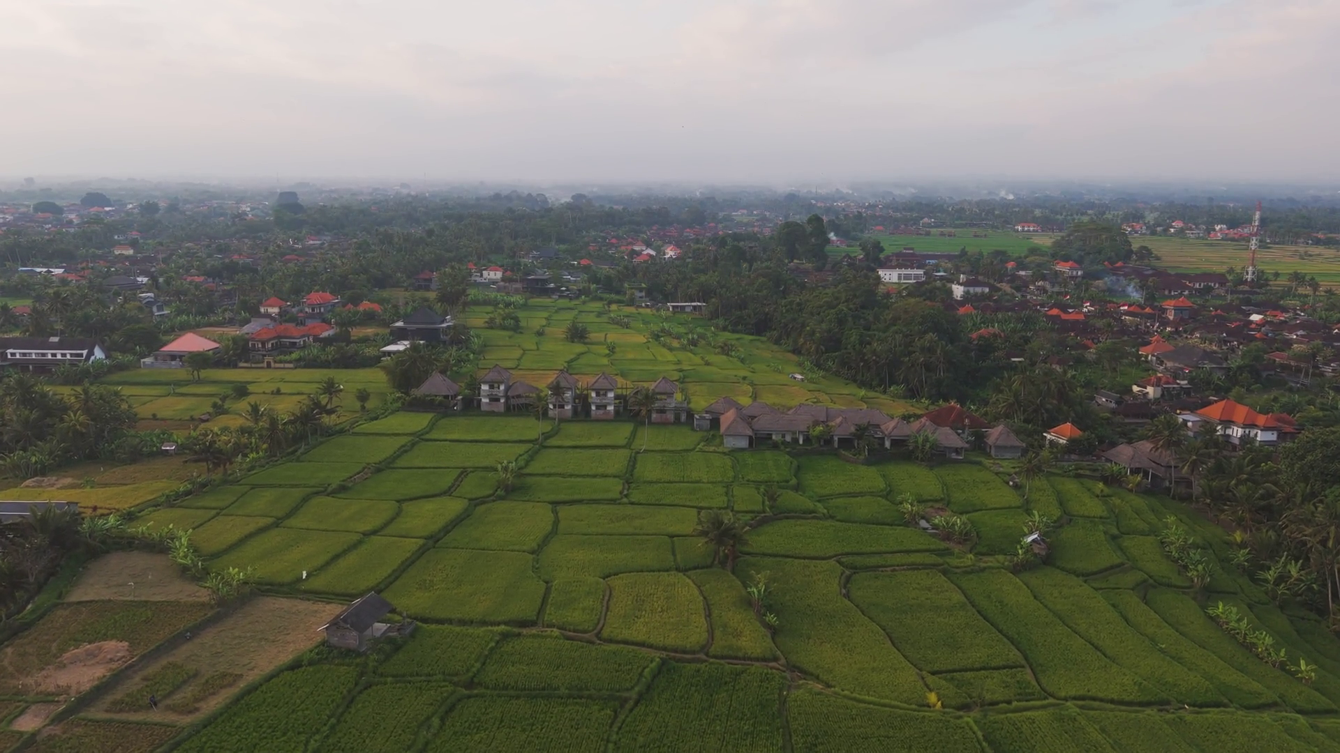 Aerial View Of Village Near Rice Fields In Stock Footage SBV-352082892 ...