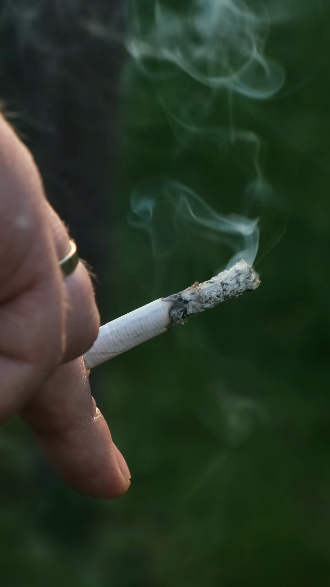 cigarette smoke png video Transparent Stock Footage for Free Download Cigarette smoke