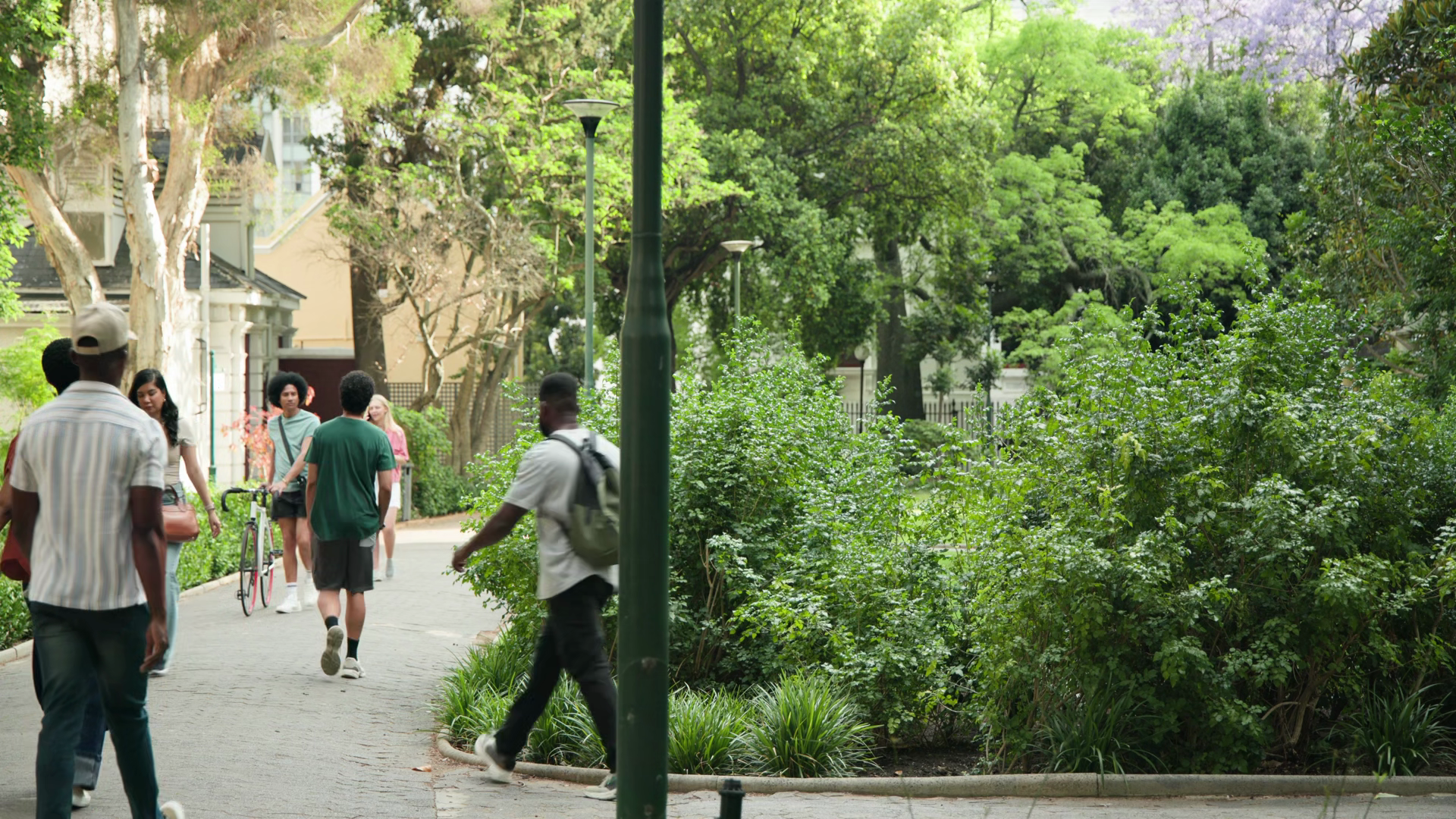 Students Walking Campus Path Heading To Stock Footage SBV-354303380 ...