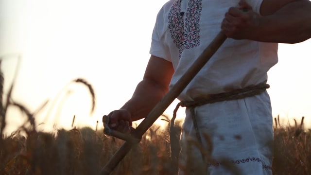 Reaping Stock Footage: Royalty-Free Video Clips - Storyblocks
