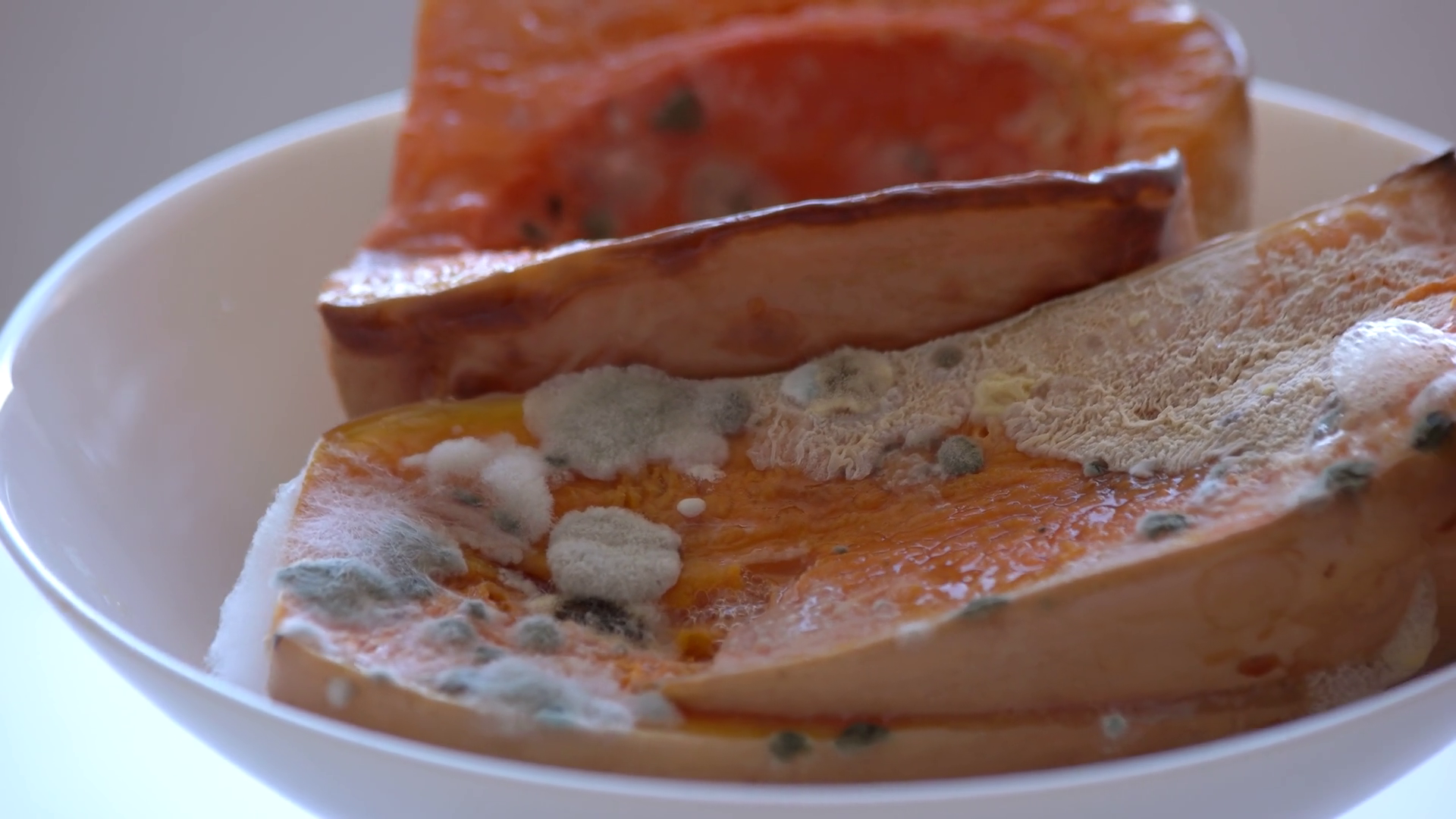 Bowl With Moldy Vegetable Close Up Rotten Stock Footage SBV-338431959 ...