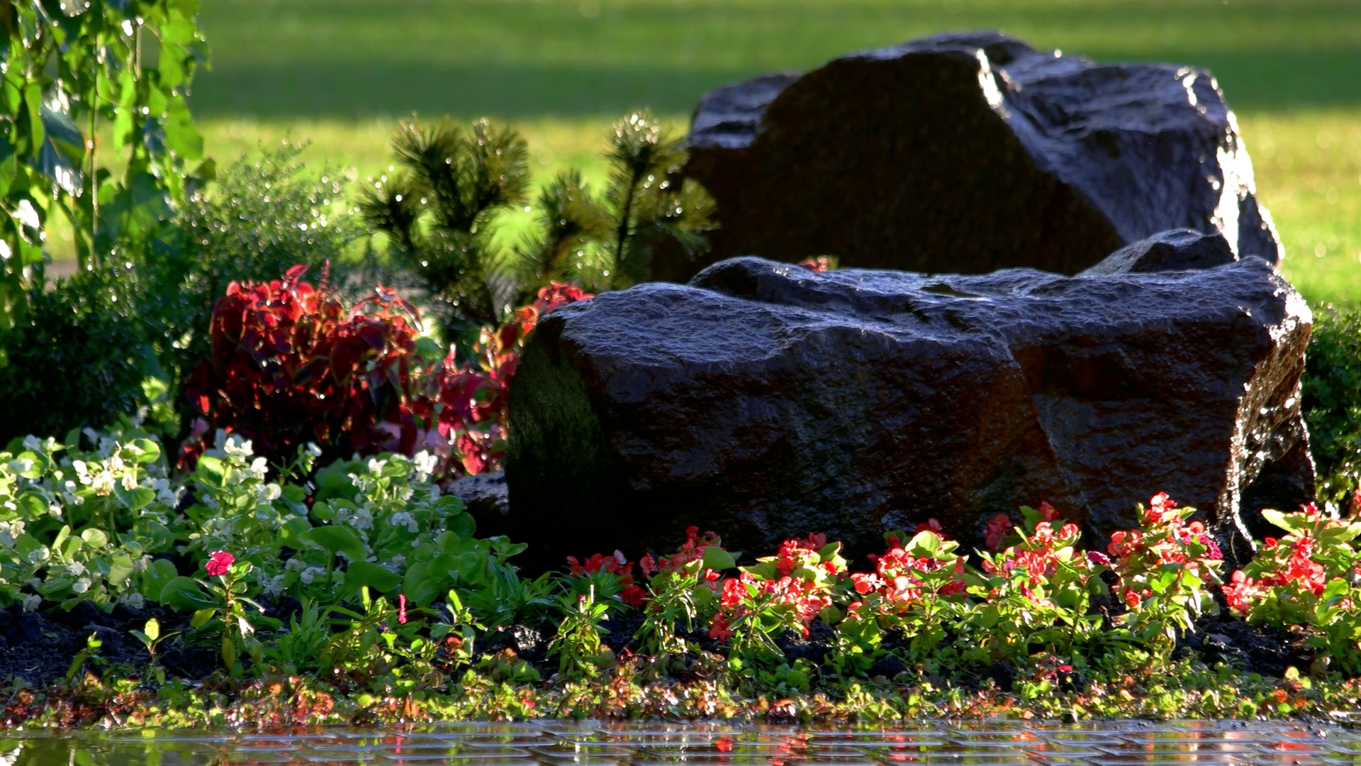 Lush Garden: Vibrant Greens Serene Rocks Stock Footage SBV-323907382 ...