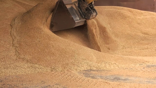 Sand Loading Stock Footage: Royalty-Free Video Clips - Storyblocks
