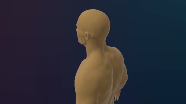 Brain Function Stock Footage: Royalty-Free Video Clips - Storyblocks