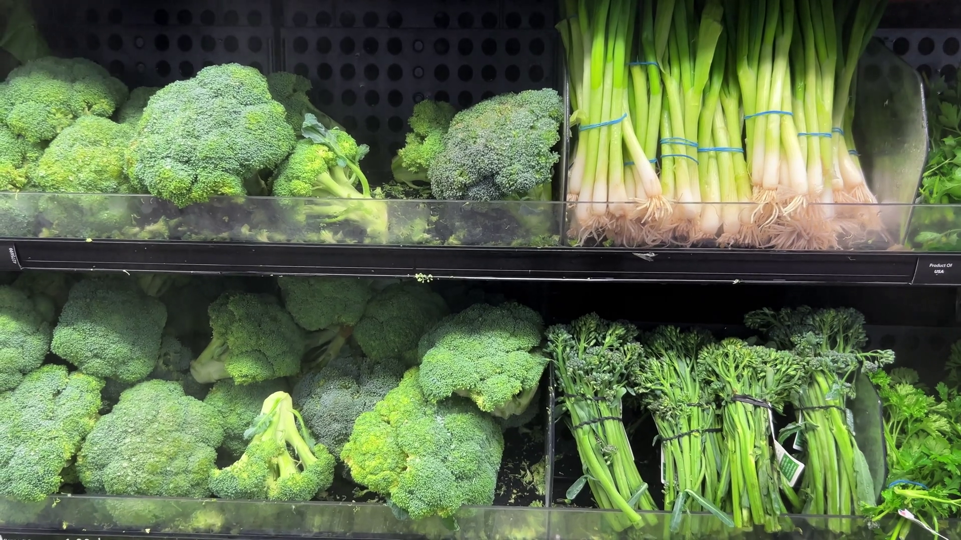 Vibrant Display Of Fresh Broccoli Green Stock Footage SBV-353023104 ...