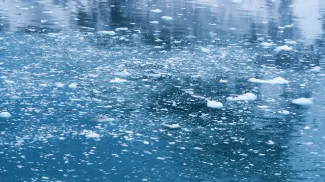 Ice Float Stock Footage: Royalty-Free Video Clips - Storyblocks