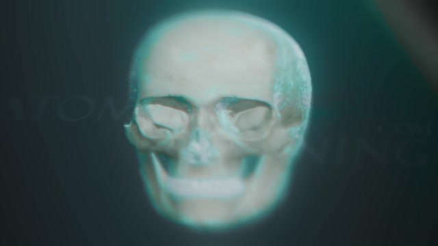 Human Skull Stock Footage: Royalty-Free Video Clips - Storyblocks