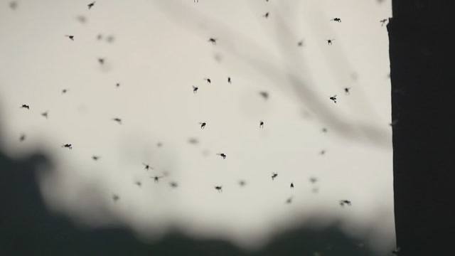 Disgusting Background Stock Footage: Royalty-Free Video Clips - Storyblocks