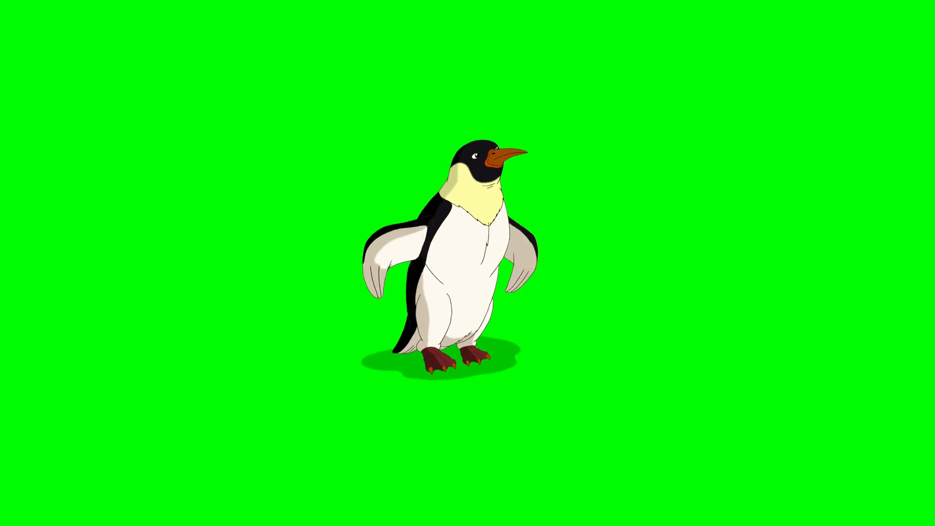 Cute Emperor Penguin Standing Against Green Stock Motion Graphics SBV ...