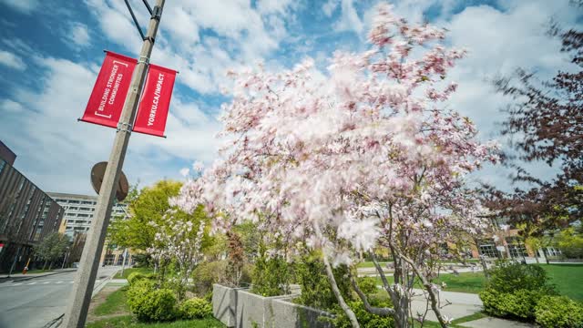 Japan University Campus Stock Footage: Royalty-Free Video Clips ...