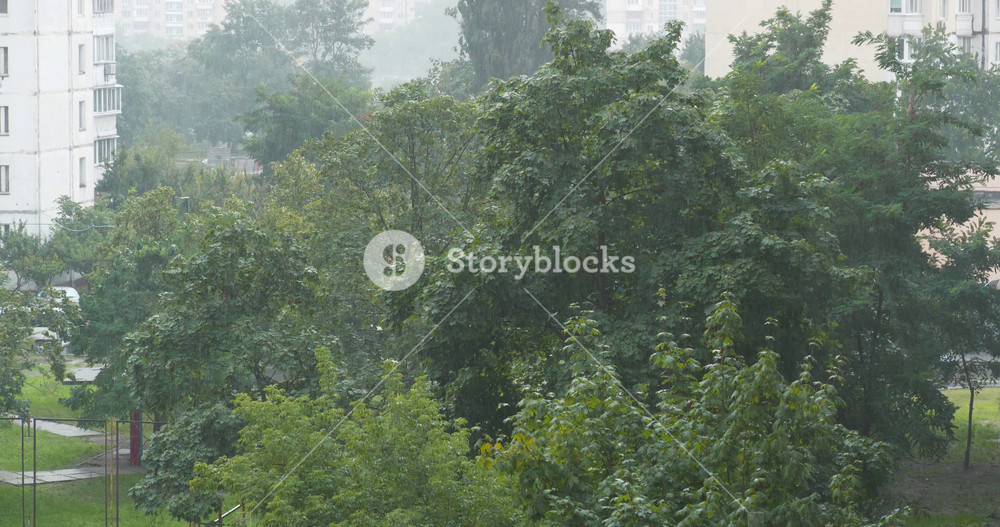 Rainy and windy weather. Video with sound and rain noise. Rain in the city. Cinema 4K 60fps one minute relax video with sound