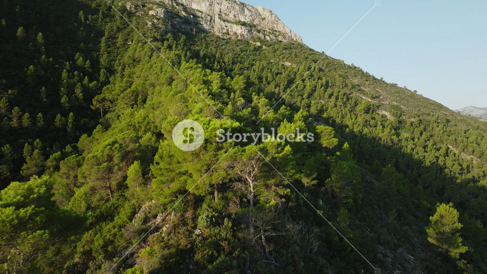 Lush green mountainsides showcase the stunning natural beauty of the landscape, highlighting vibrant trees and clear skies