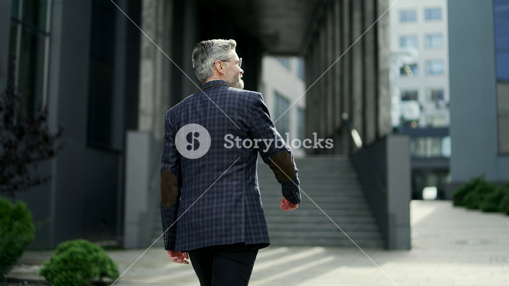 Rear back view of successful inspired mature grey haired businessman entrepreneur in classic suit look around enjoying modern business centre walking down the street with office buildings outdoors