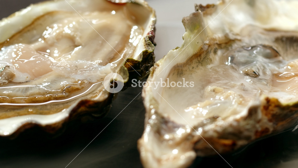 Fresh raw oysters with ice, french restaurant, mediterranean Healthy sea food, gourment luxury cuisine. Close up of seafood restaurant.