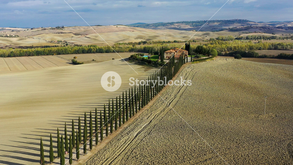 Green hills, olive gardens and small vineyard under rays of morning sun, Italy, Tuscany, San Quirico D'Orcia. Famous Tuscany landscape with curved road and cypress, Italy, Europe