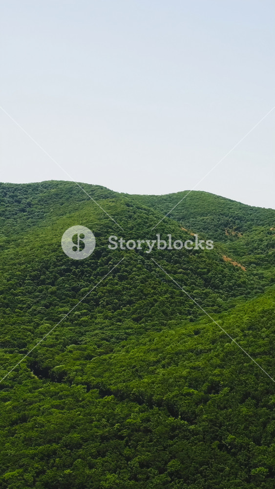 Top view of beautiful green ridges of mountains on background of blue sky. Shot. Beautiful mountain landscape with lush green grass on tops