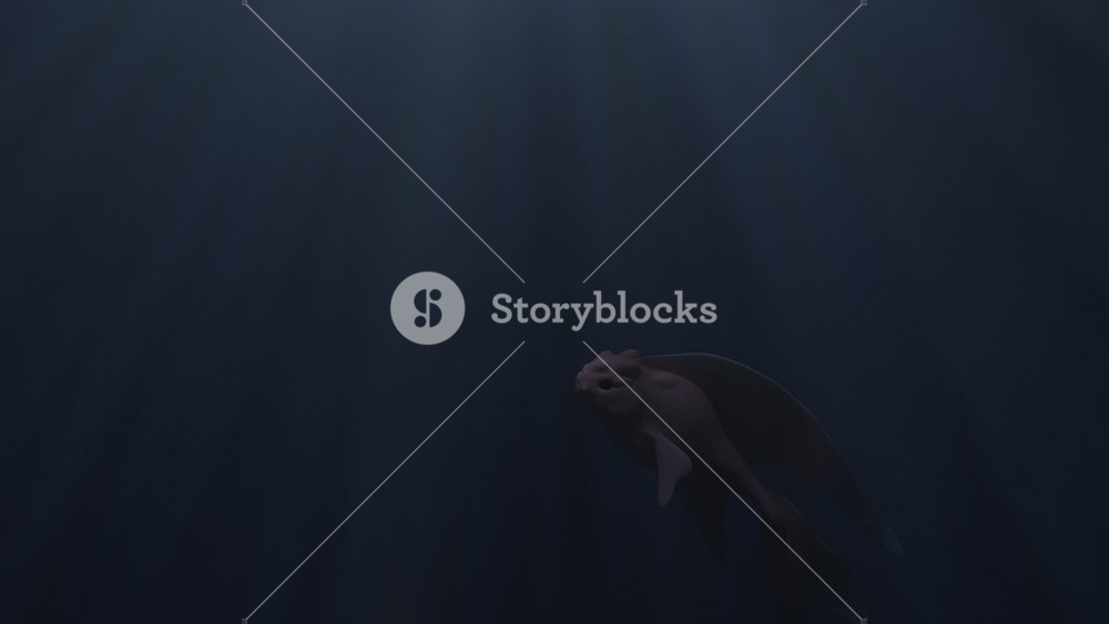 Close up of an abstract lonely beautiful fish swimming underwater. Design. Realistic marine animal in the sea or ocean with the sun rays