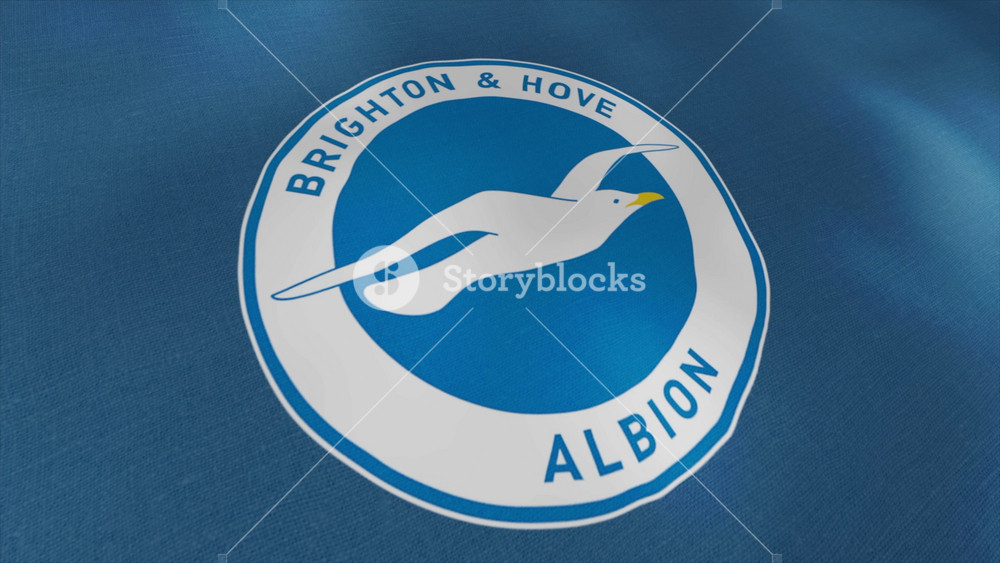 Seamless loop wavy motion of a blue football club flag with a white seagull. Motion. The emblem of the Brighton and Hove Albion football
