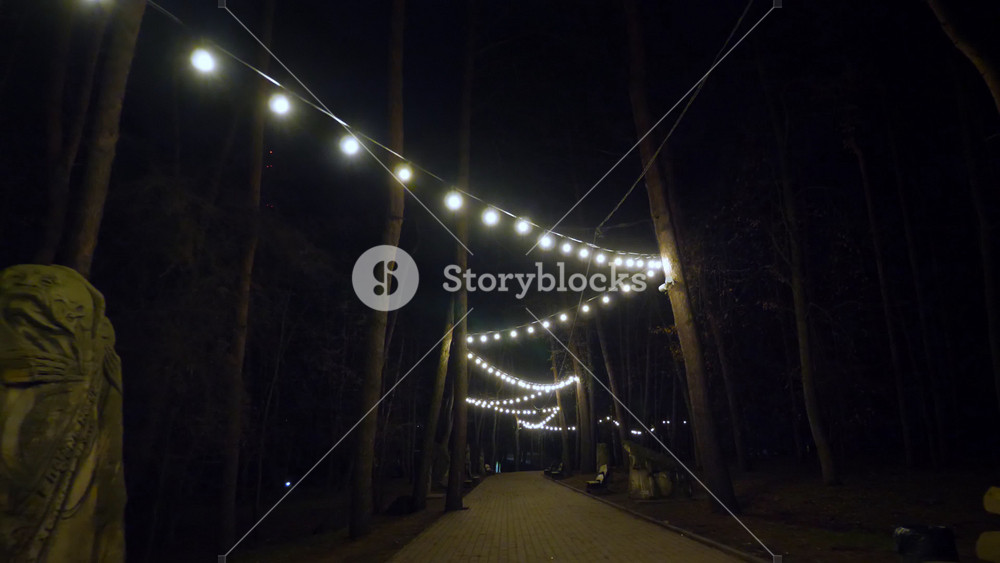 Christmas garland lights. Beautiful, glowing, outdoor bulb garland with yellow light decorates a park at night. Festive Christmas decoration and winter atmosphere.