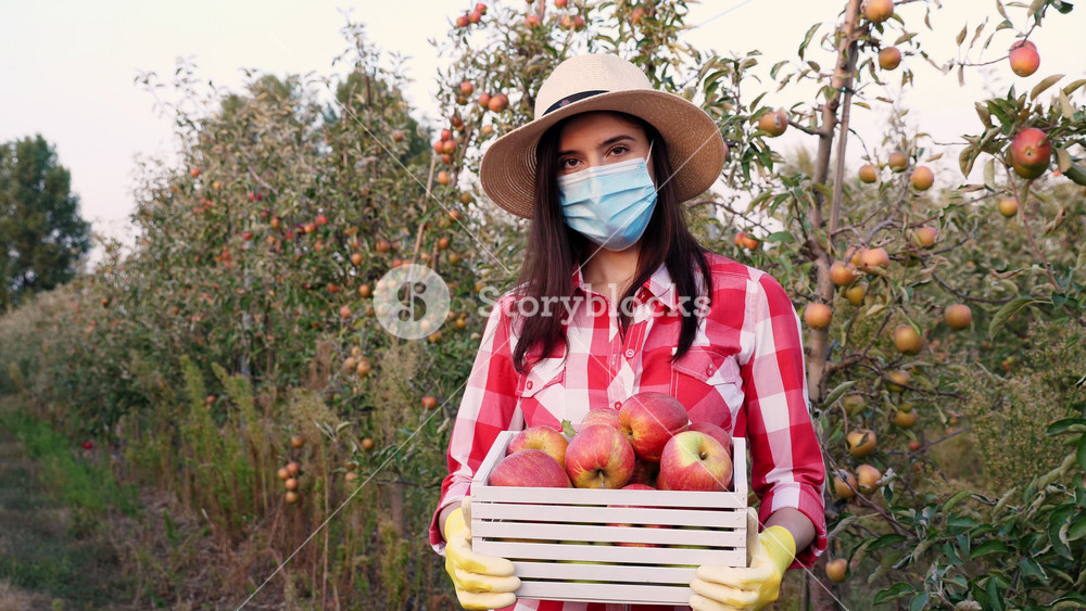 Portrait of female farmer in protective mask holding a box with ripe apples in hands. Quality and safety control of organic produce.