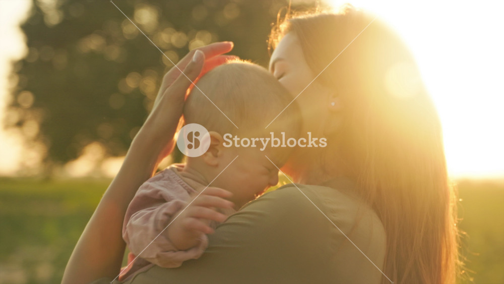 Close up of mother holds her daughter in arms in sunflower field. Caucasian mom is kissing her little crying daughter. Childhood concept.