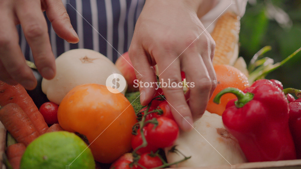 Eco business. Fruits and vegetables. Closeup of male professional farmer sorting beautiful ripe tomatoes in vegetarian basket. Agricultural