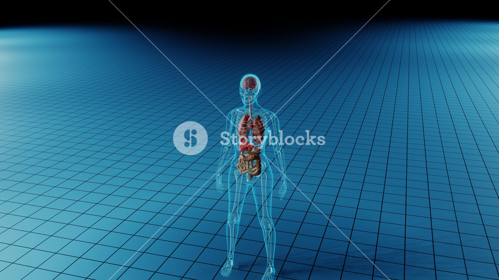 Heart damage medical representation with red color over failing organ. Medicine science 3D render animation artery damaged heart cardiovascular and blood stream anatomy ilness, insult therapy arteries