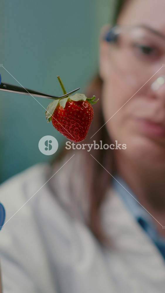 Vertical video: Close up of scientist woman looking at organic strawberry using medical tweezers for fruits biology experiment. Biochemist