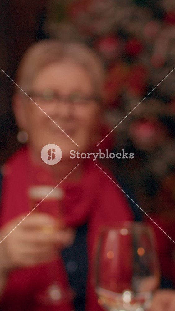 Vertical video: Joyful people gathered at Christmas dinner table to celebrate winter holiday in living room. Happy smiling family members