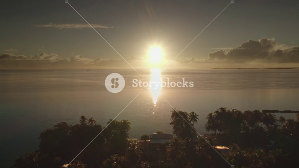 Golden sunrise over tranquil ocean waters of tropical island, warm glow on lush palm trees vegetation, breathtaking scene of natural beauty