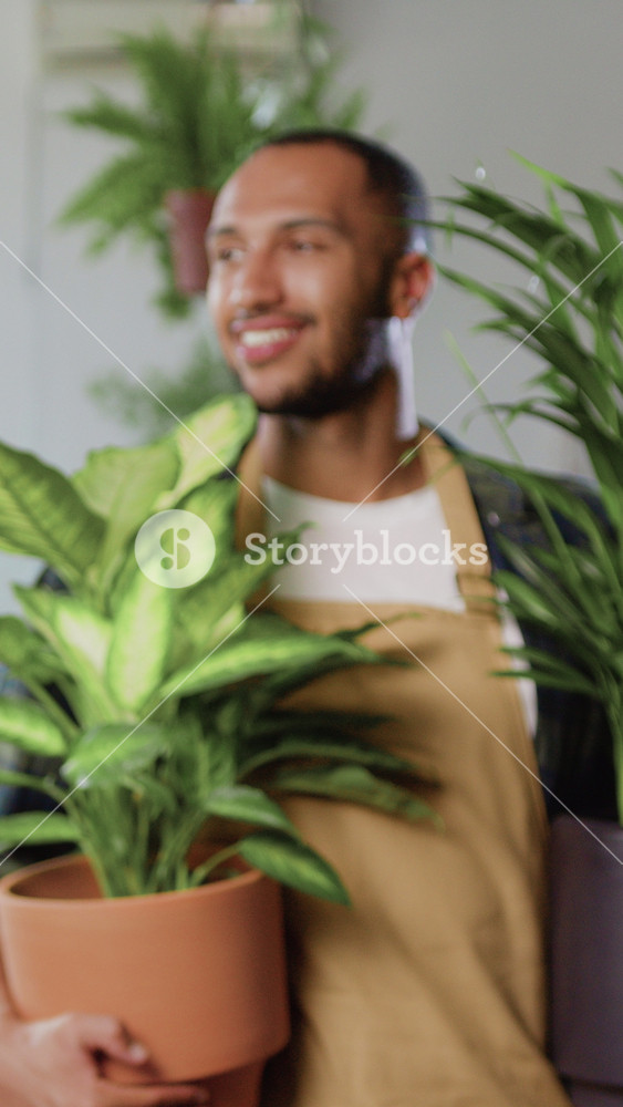 Cheerful professional florist African American man floral worker wearing apron holding house plants flowers at cozy flower shop looking at