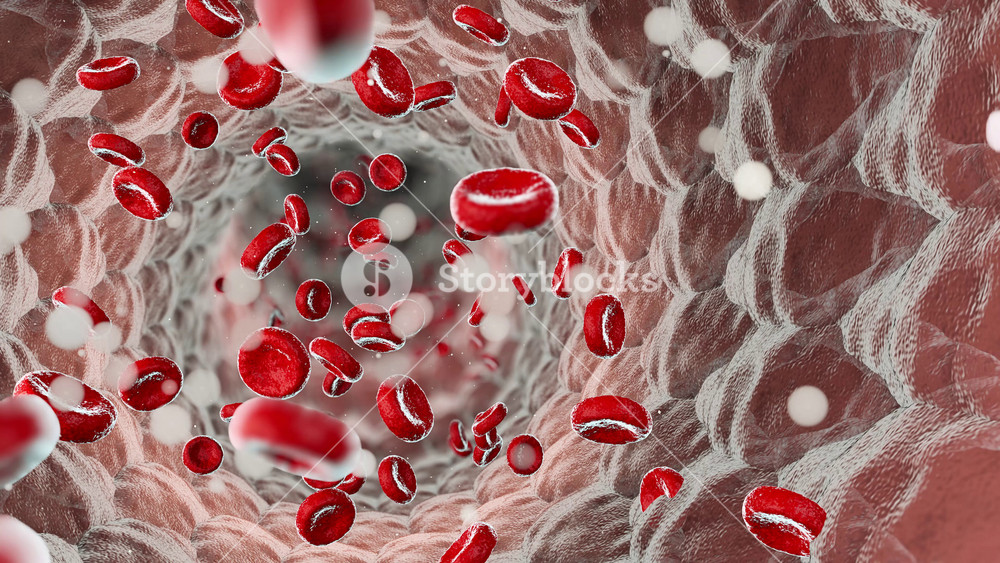 Red blood cells in an artery. Erythrocytes moving in the blood stream. Realistic rendering blood cells traveling through a vein