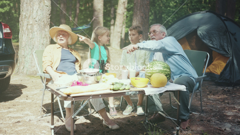Outdoor family outing observing birds together, Family members enjoying birdwatching and outdoor bonding activities