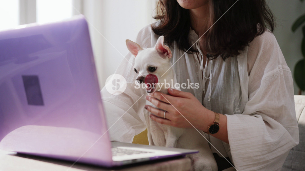 Pretty little dog sitting near young woman and watching cartoons on laptop. Cool family pet. Purple device. Without face. Lifestyle, daily