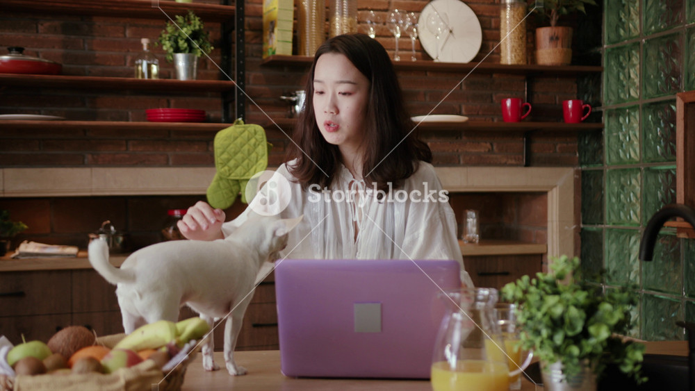 Gorgeous young woman sitting at table and using laptop. Sad girl turning gadget off. Modern technology. Bad news. Indoors. Dog, animal pet