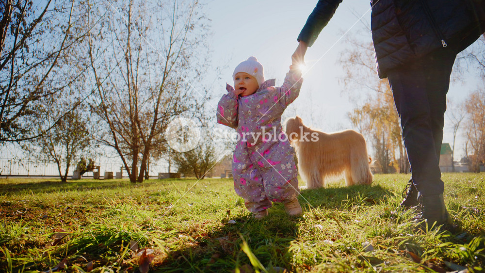 A delightful moment captured of a toddler in a colorful snowsuit joyfully walking hand-in-hand with an adult while a golden dog plays in the