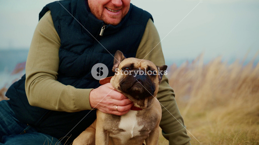 A Heartwarming Moment of Bonding Between a Person and Their French Bulldog on a Scenic Field, Capturing the Essence of Loyalty